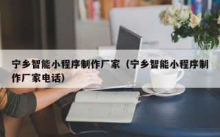 睢县宁乡智能小程序制作厂家（宁乡智能小程序制作厂家电话）